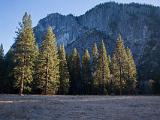 Yosemite 052